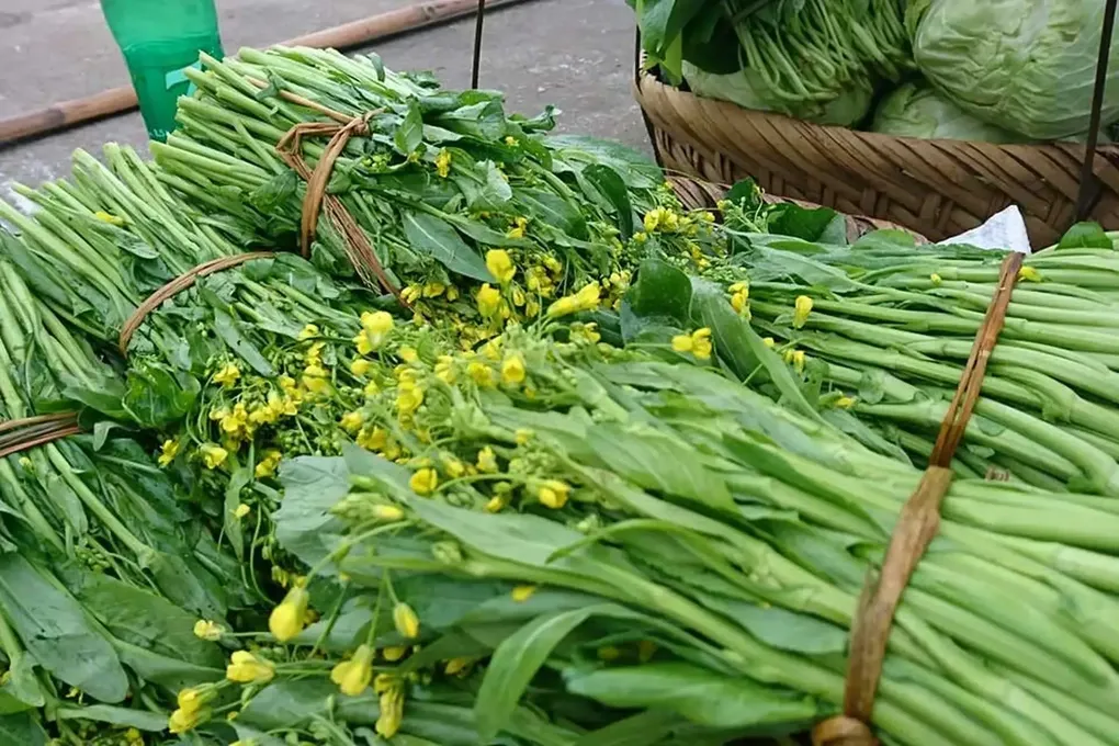 Cải ngồng - loại rau quen thuộc nhưng gi&agrave;u gi&aacute; trị dinh dưỡng- Ảnh 1.