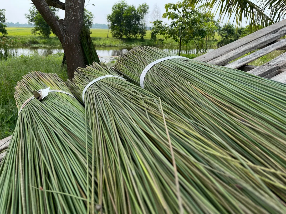Giữ nghề đệm b&agrave;ng Ph&ograve; Trạch- Ảnh 12.