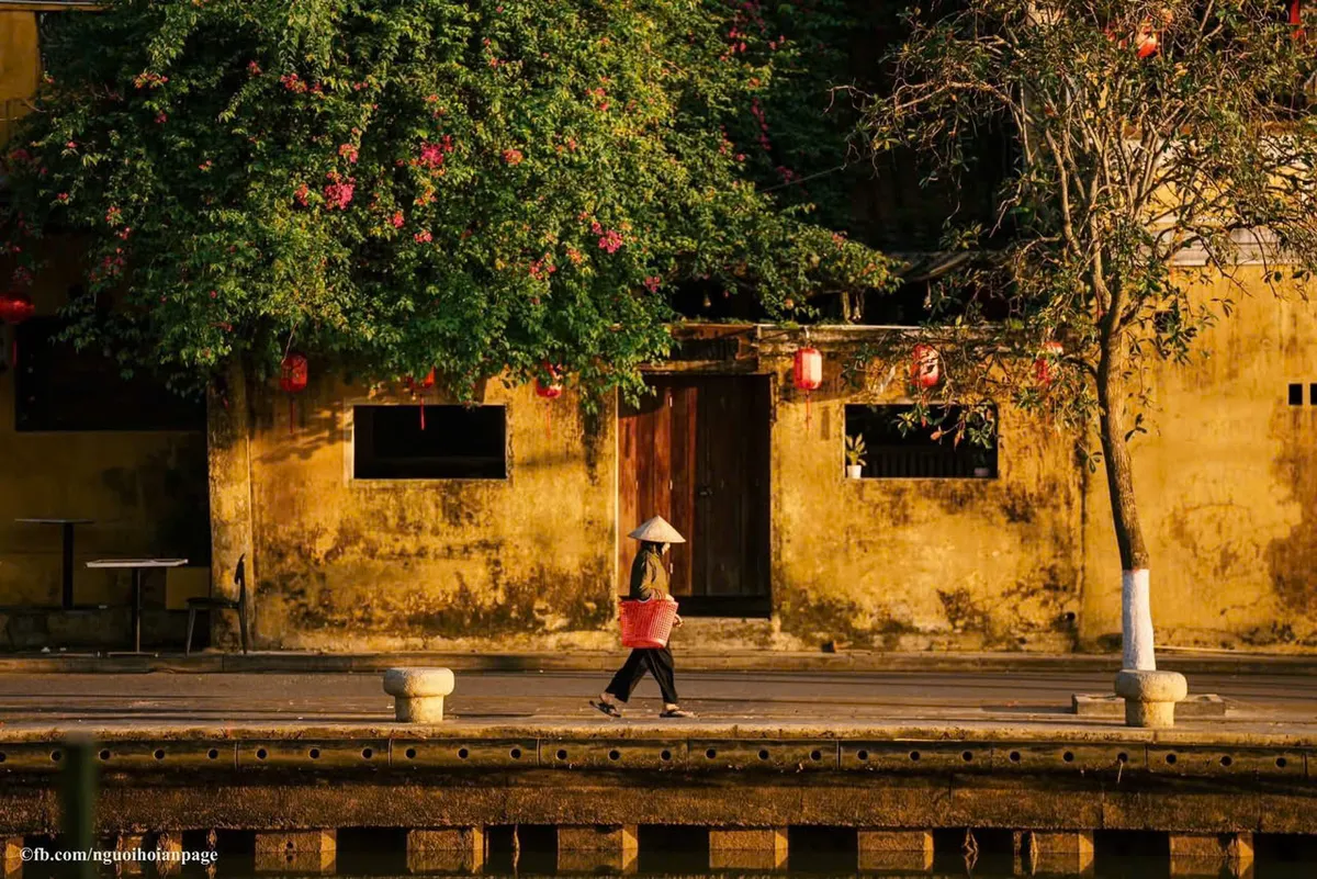 Việt Nam vươn l&ecirc;n dẫn đầu trong lựa chọn của kh&aacute;ch &Uacute;c- Ảnh 1.