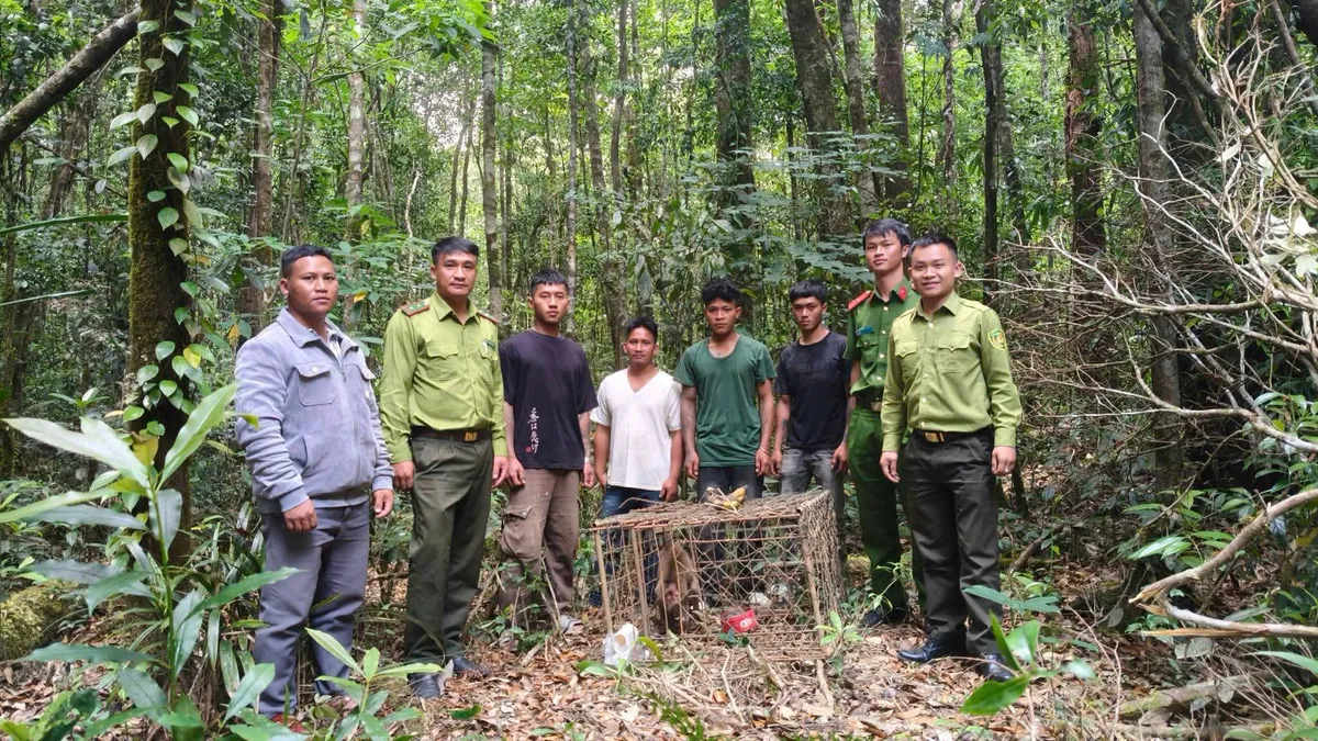 Người d&acirc;n L&acirc;m Đồng tự nguyện giao nộp khỉ qu&yacute; hiếm, thả về Vườn Quốc gia Bidoup - N&uacute;i B&agrave; - Ảnh 3.