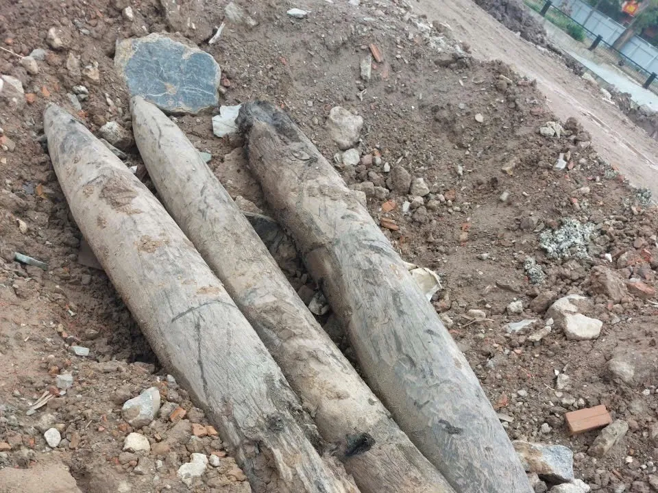 Ph&aacute;t hiện 3 cọc gỗ cổ nghi li&ecirc;n quan đến qu&acirc;n sự thời Trần tại Ninh B&igrave;nh- Ảnh 1.
