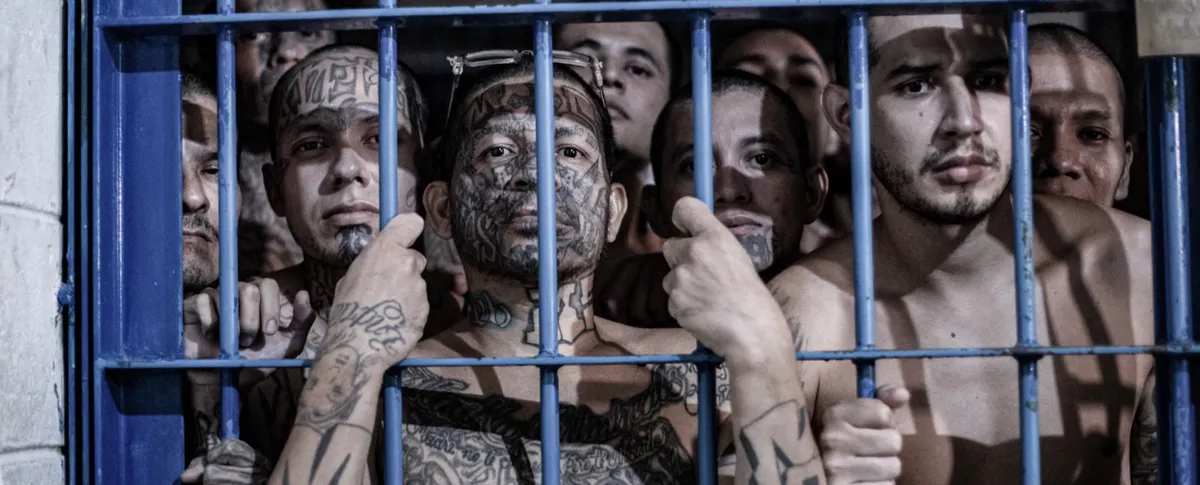 El Salvador x&eacute;t xử tập thể gần 500 th&agrave;nh vi&ecirc;n băng đảng - Ảnh 1.