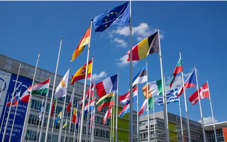 (Ảnh minh họa: Pexels)