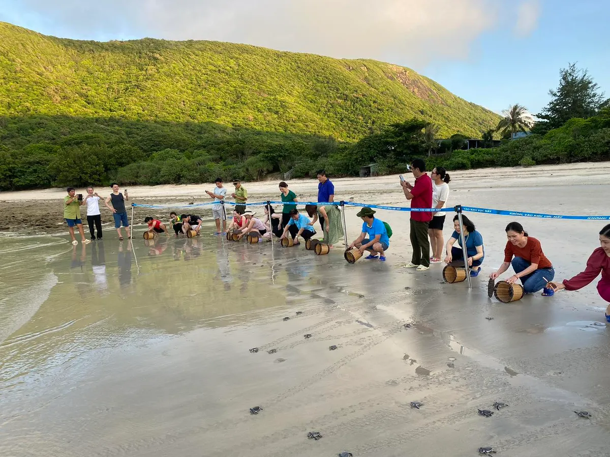 Việt Nam g&oacute;p mặt v&agrave;o Top 7 điểm đến trải nghiệm thả r&ugrave;a biển đ&aacute;ng thử nhất thế giới - Ảnh 1.