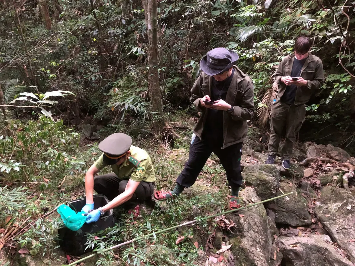 T&aacute;i thả 9 c&aacute; thể t&ecirc; t&ecirc; Java về rừng Bạch M&atilde; - Ảnh 1.