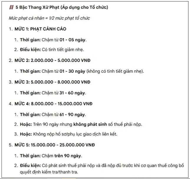 Chậm nộp quyết to&aacute;n thuế thu nhập c&aacute; nh&acirc;n bị phạt đến 25 triệu đồng - Ảnh 1.