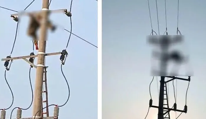 Phát hiện thi thể nam sinh lớp 8 treo trên cột điện trung thế - Ảnh 1.