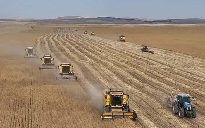 Nguy cơ thiếu hụt lương thực toàn cầu