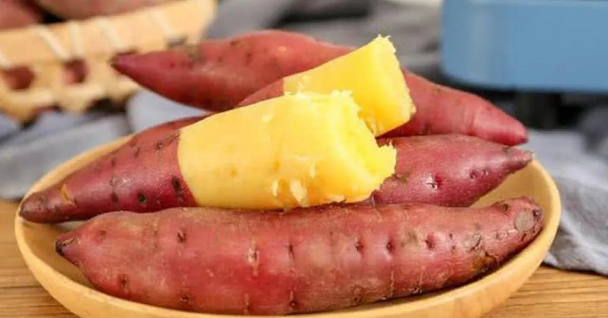 Khoai lang gi&uacute;p giảm mỡ bụng, ổn định đường huyết nhờ gi&agrave;u chất xơ v&agrave; dưỡng chất- Ảnh 1.