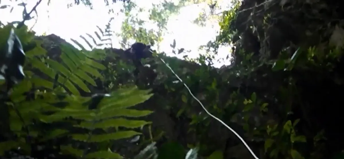 Ph&aacute;t hiện th&ecirc;m hang động c&oacute; th&aacute;c nước tại Phong Nha - Kẻ B&agrave;ng- Ảnh 2.