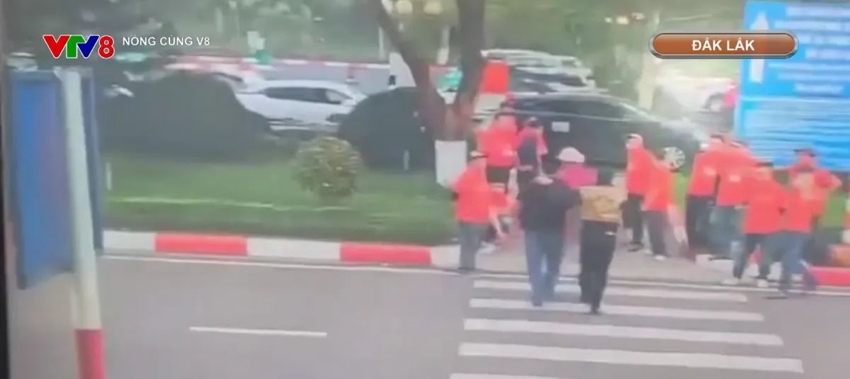 Đắk Lắk : Nh&acirc;n vi&ecirc;n điều phối xe bị h&agrave;nh hung trong khu&ocirc;n vi&ecirc;n s&acirc;n bay- Ảnh 2.