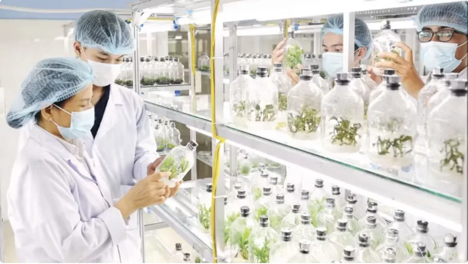 Định h&igrave;nh tương lai nh&acirc;n lực c&ocirc;ng nghệ sinh học- Ảnh 1.