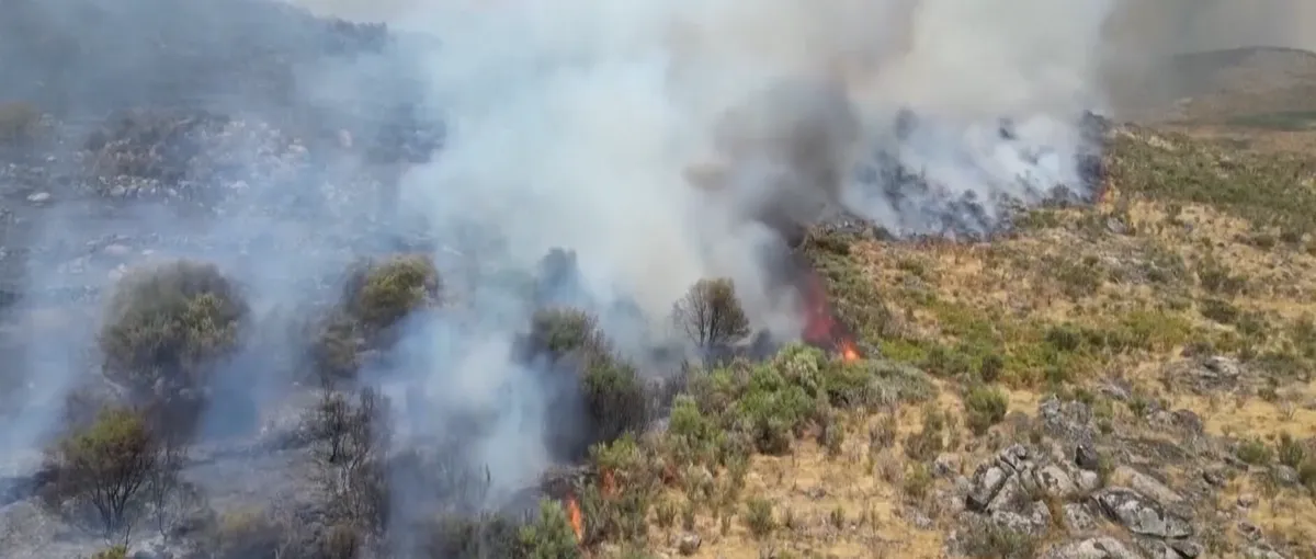 Ng&agrave;y Tr&aacute;i đất 2026: H&agrave;nh động trước khi qu&aacute; muộn- Ảnh 1.