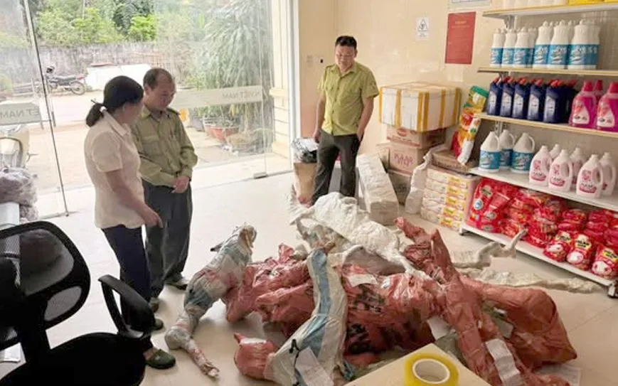 Số phôi cây Muội hồng vừa được lực lượng chức năng phát hiện.