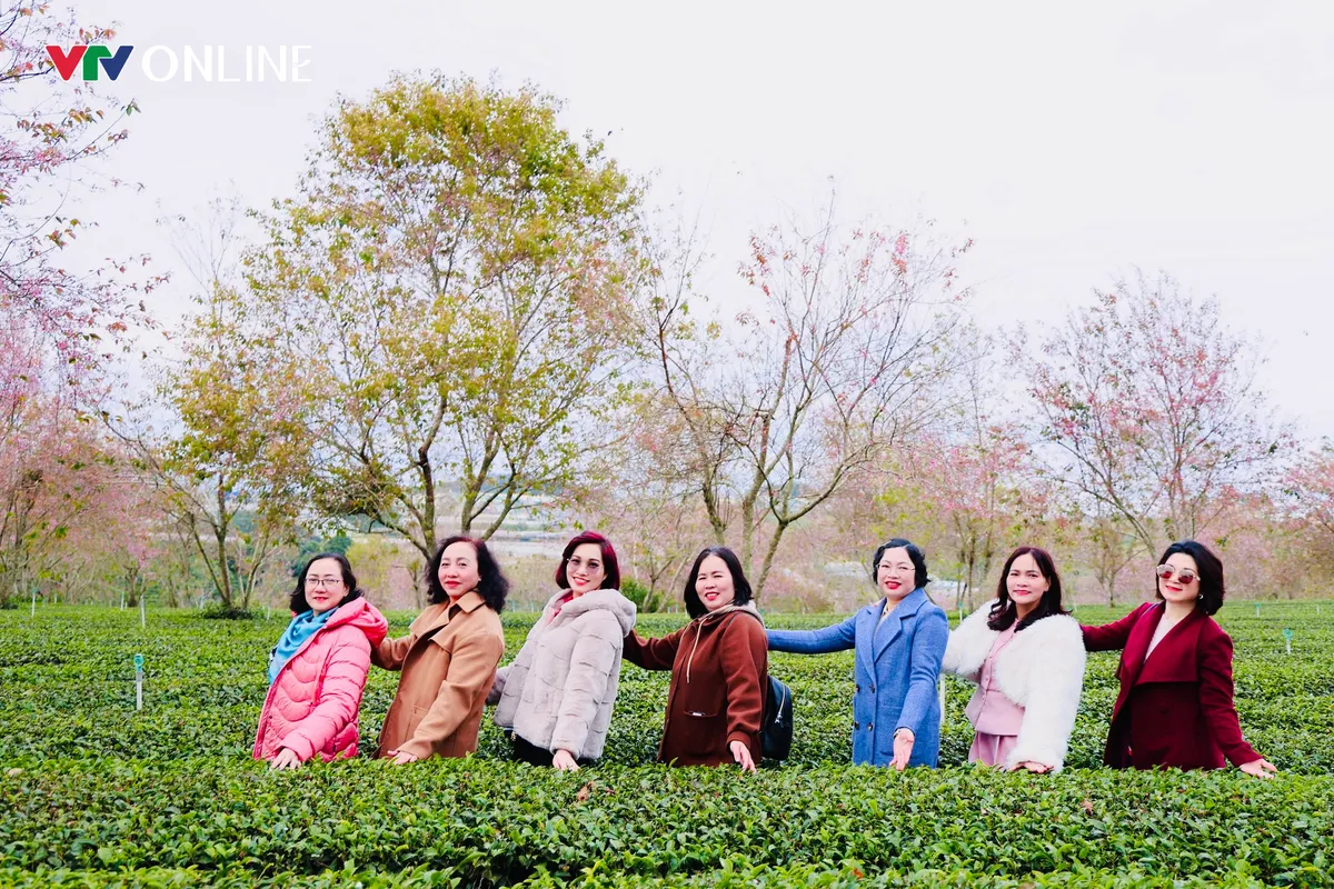 L&acirc;m Đồng chuẩn bị khai mạc "Ch&agrave;o m&ugrave;a du lịch h&egrave; 2026"- Ảnh 2.