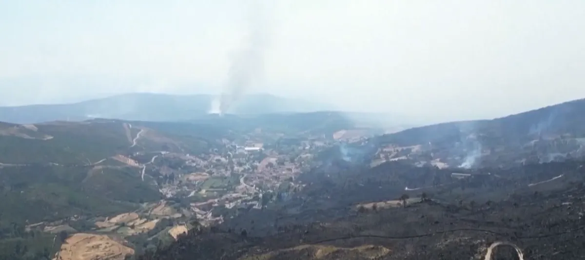 Ng&agrave;y Tr&aacute;i đất 2026: H&agrave;nh động trước khi qu&aacute; muộn- Ảnh 4.