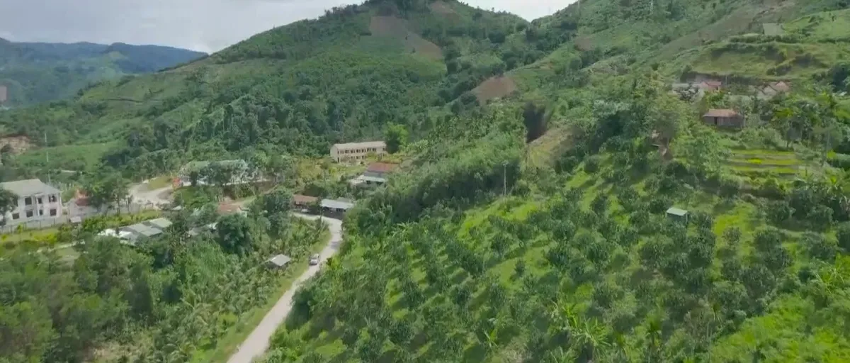 Thiếu li&ecirc;n kết &ndash; N&ocirc;ng sản Quảng Ng&atilde;i loay hoay đầu ra- Ảnh 1.