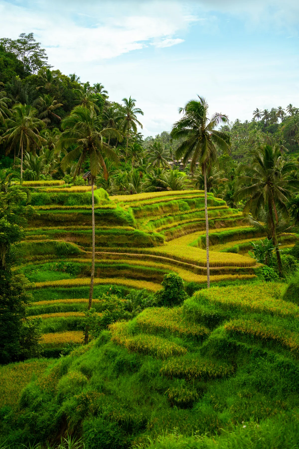 V&igrave; phim m&agrave; tới - Ảnh 7.