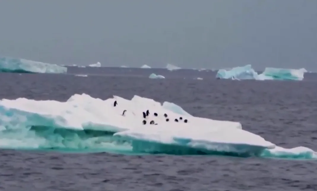 Ng&agrave;y Tr&aacute;i đất 2026: H&agrave;nh động trước khi qu&aacute; muộn- Ảnh 2.