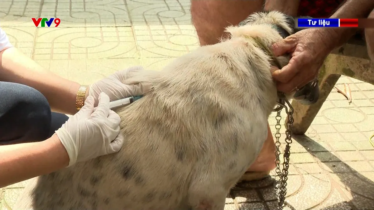 Alo Doctor (22/4/2026): TP. Hồ Chí Minh ghi nhận 3 ca tử vong do bệnh dại