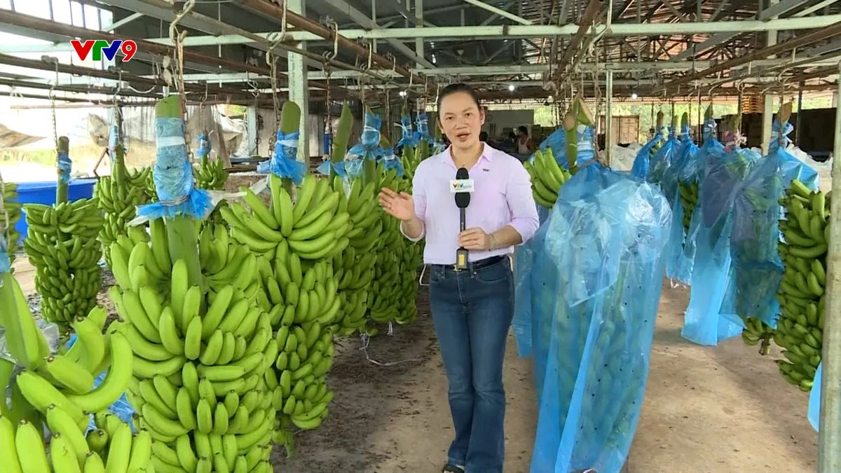 Sequence 55.00_36_59_05.Still165.jpg