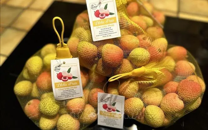 Thúc đẩy việc mở cửa thị trường cho vải, chanh leo Việt Nam sang Hàn Quốc