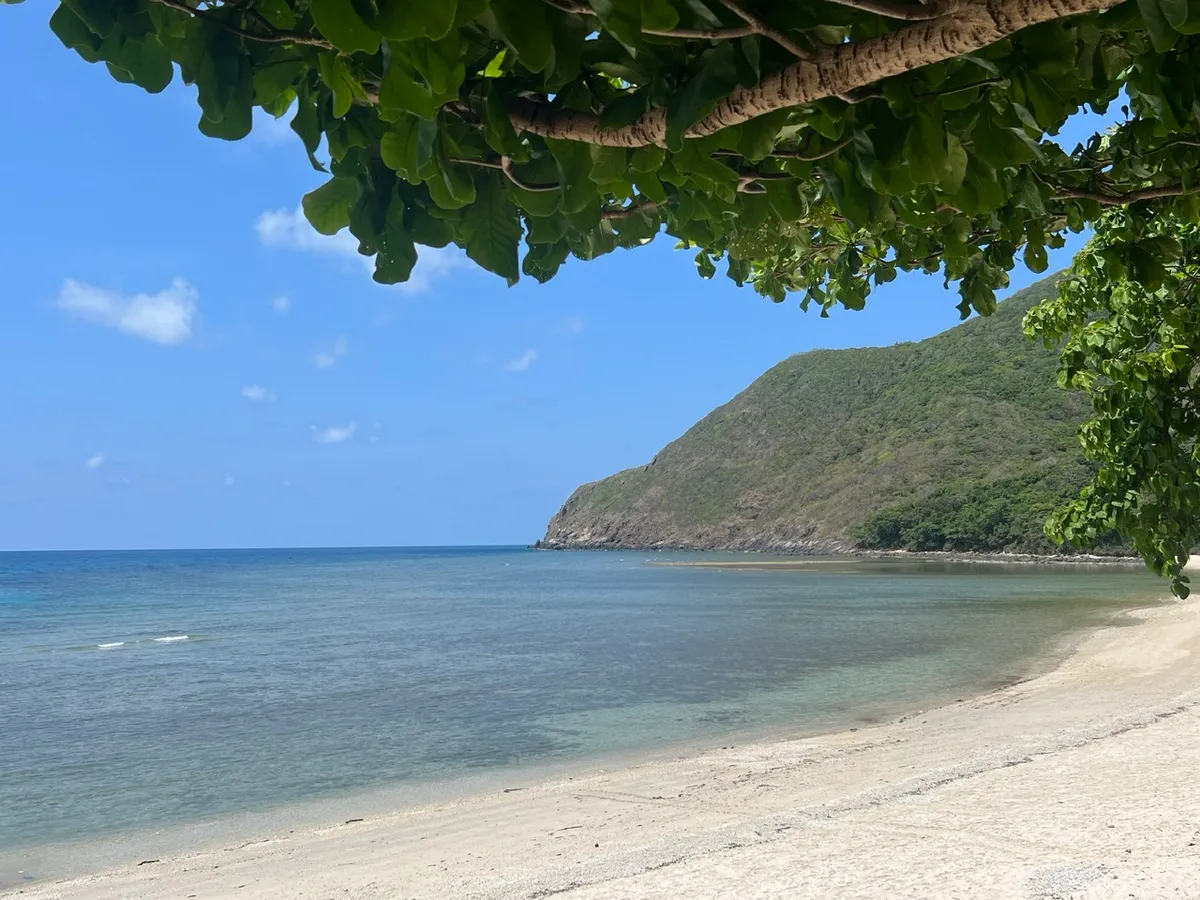 Việt Nam góp mặt vào Top 7 điểm đến trải nghiệm thả rùa biển đáng thử nhất thế giới - Ảnh 2.