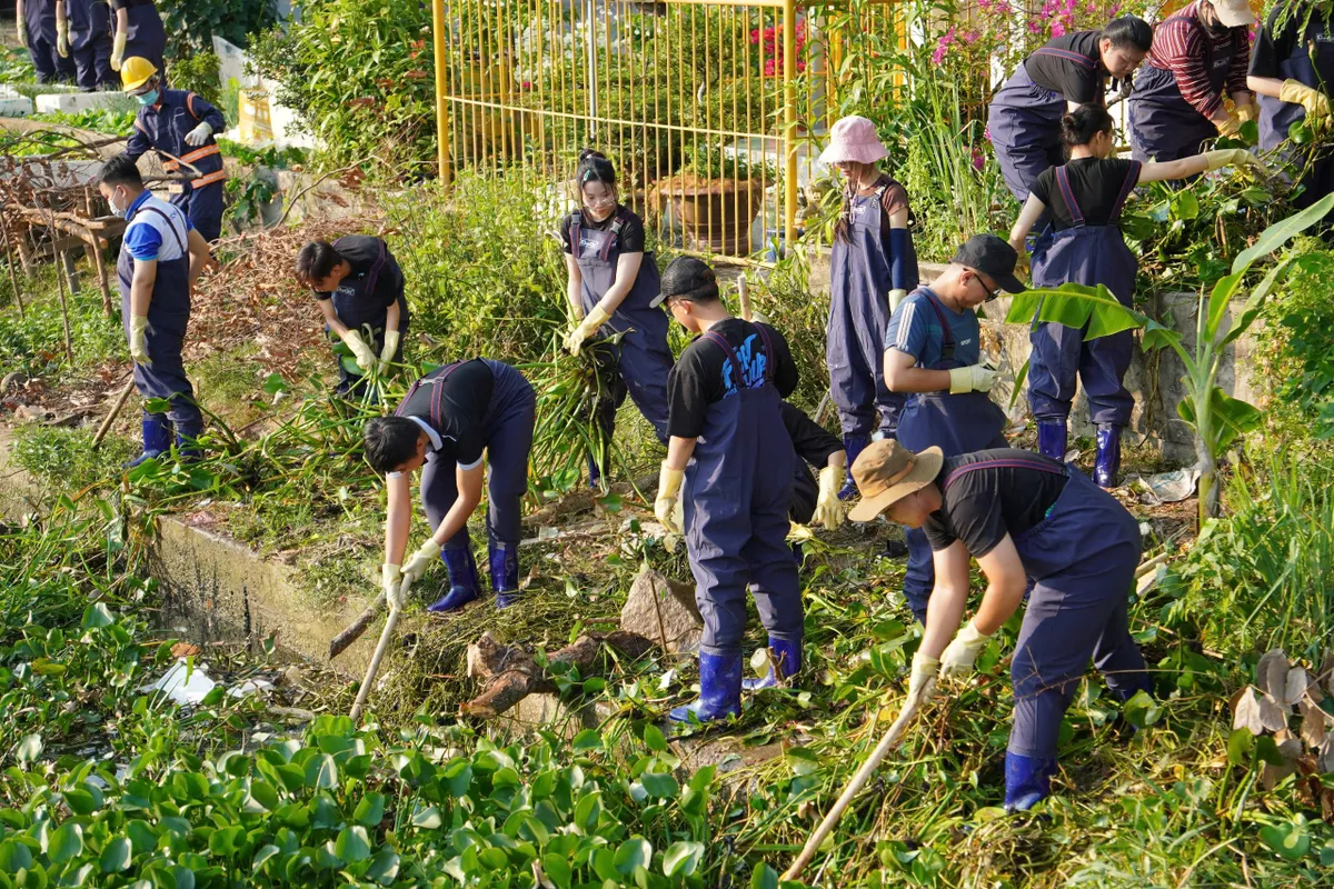 Học sinh, sinh vi&ecirc;n chung tay v&igrave; nguồn nước bền vững- Ảnh 1.