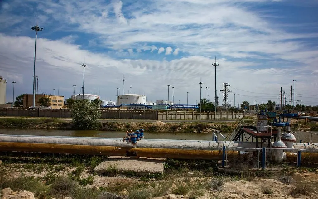 (Ảnh: Shutterstock) 