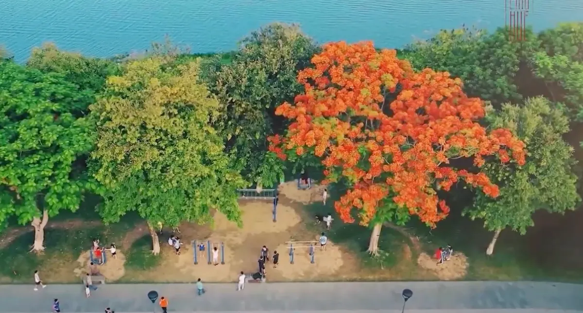 Cần chấn chỉnh t&igrave;nh trạng xe m&aacute;y đi v&agrave;o đường d&agrave;nh cho người đi bộ ở Huế- Ảnh 6.