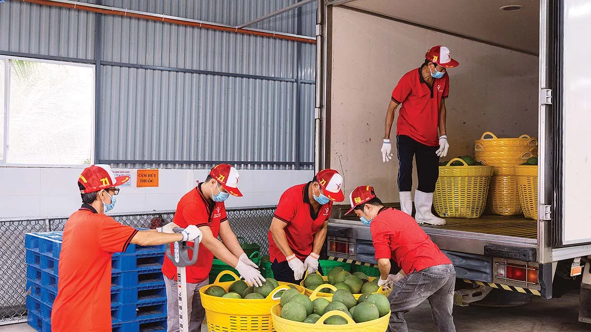 Chi ph&iacute; leo thang, đầu ra chững lại: N&ocirc;ng nghiệp xoay xở trong thế kh&oacute;- Ảnh 1.