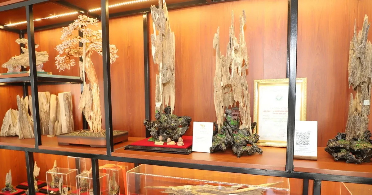 Ảnh minh họa: Sản phẩm trầm hương mỹ nghệ của cơ sở OCOP Tâm Thiên Hương. (Hoàng Ngà/TTXVN)