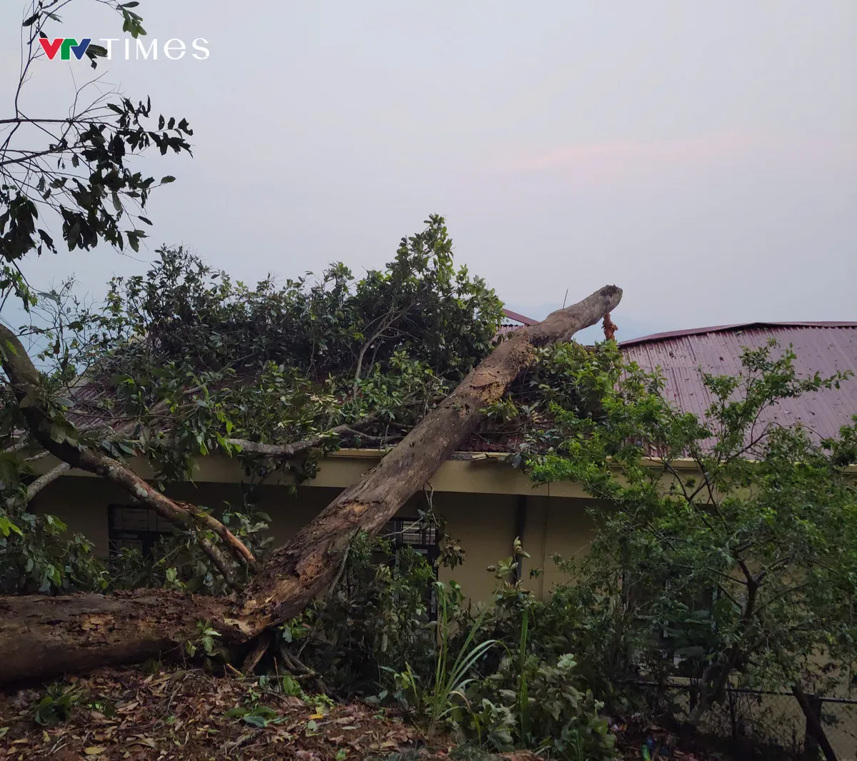 Lai Ch&acirc;u khẩn trương khắc phục hậu quả mưa đ&aacute;, d&ocirc;ng lốc  - Ảnh 2.