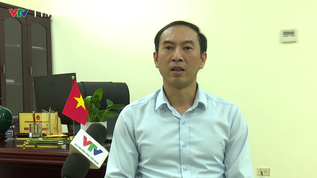 Lai Ch&acirc;u dựng &ldquo;l&aacute; chắn số&rdquo; giữ rừng xanh - Ảnh 4.