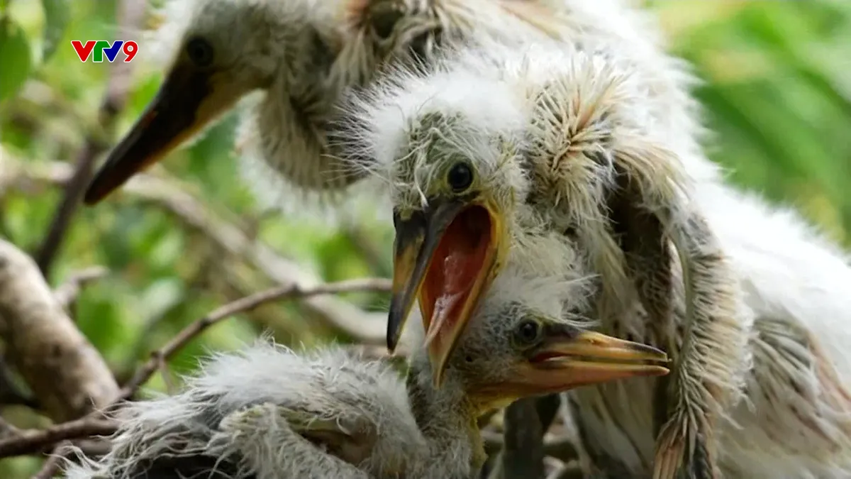 Sequence 55.00_40_47_23.Still204.jpg