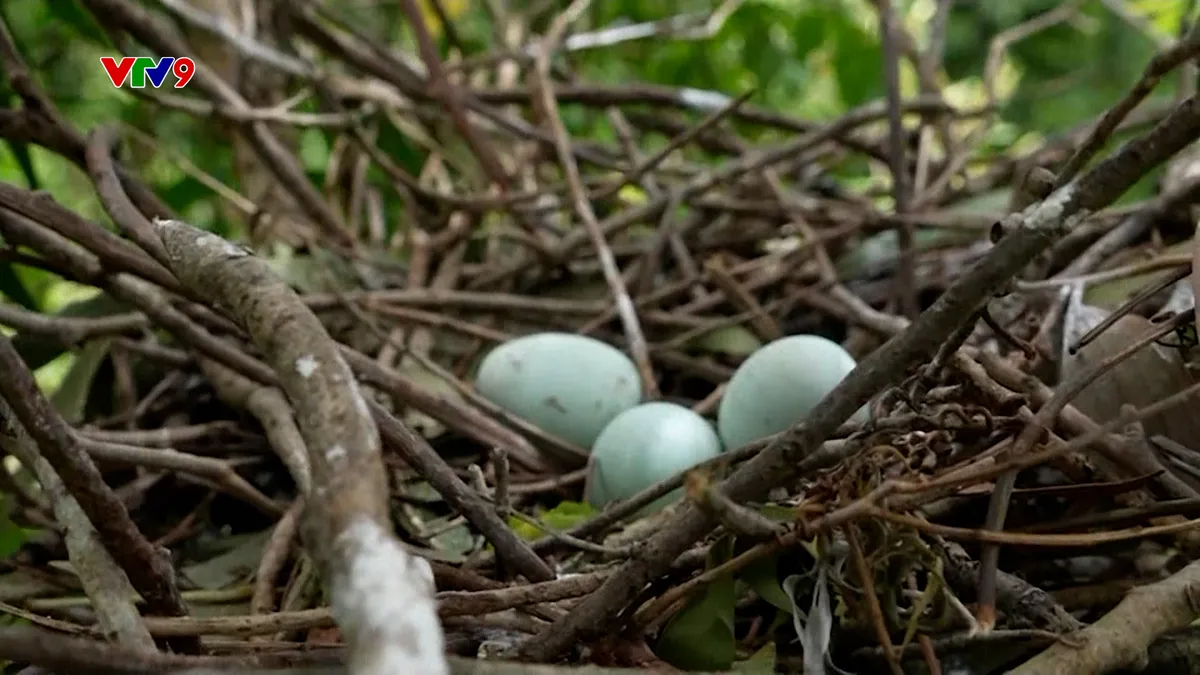 Sequence 55.00_40_53_15.Still205.jpg