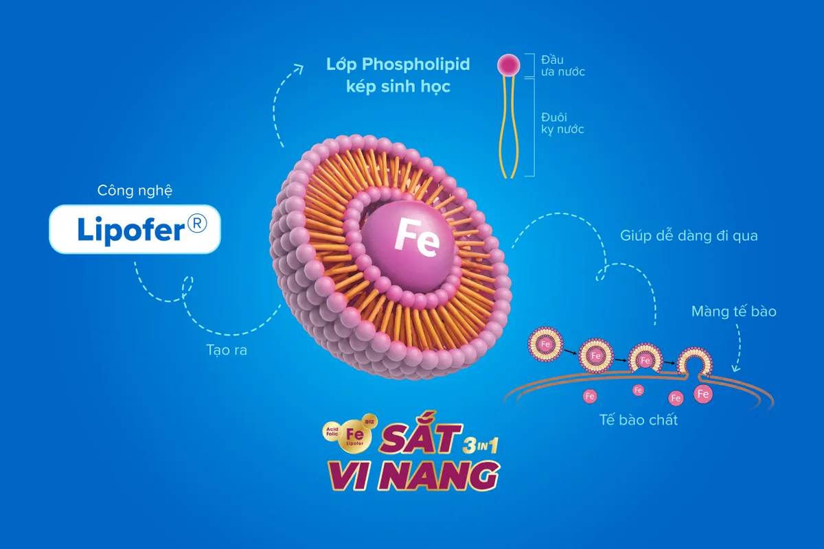 Smartbibi Fesom &ldquo;Sắt vi nang 3 trong 1" hấp thu cao thế hệ mới từ Italy- Ảnh 2.