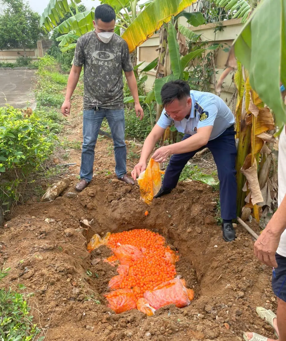 Ph&aacute;t hiện xe kh&aacute;ch vận chuyển 150kg trứng g&agrave; non kh&ocirc;ng r&otilde; nguồn gốc xuất xứ - Ảnh 2.