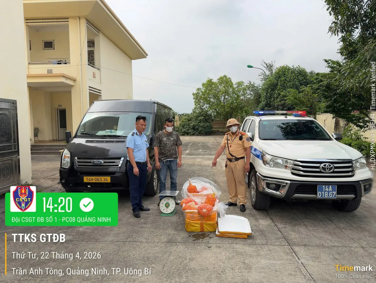 Ph&aacute;t hiện xe kh&aacute;ch vận chuyển 150kg trứng g&agrave; non kh&ocirc;ng r&otilde; nguồn gốc xuất xứ - Ảnh 1.