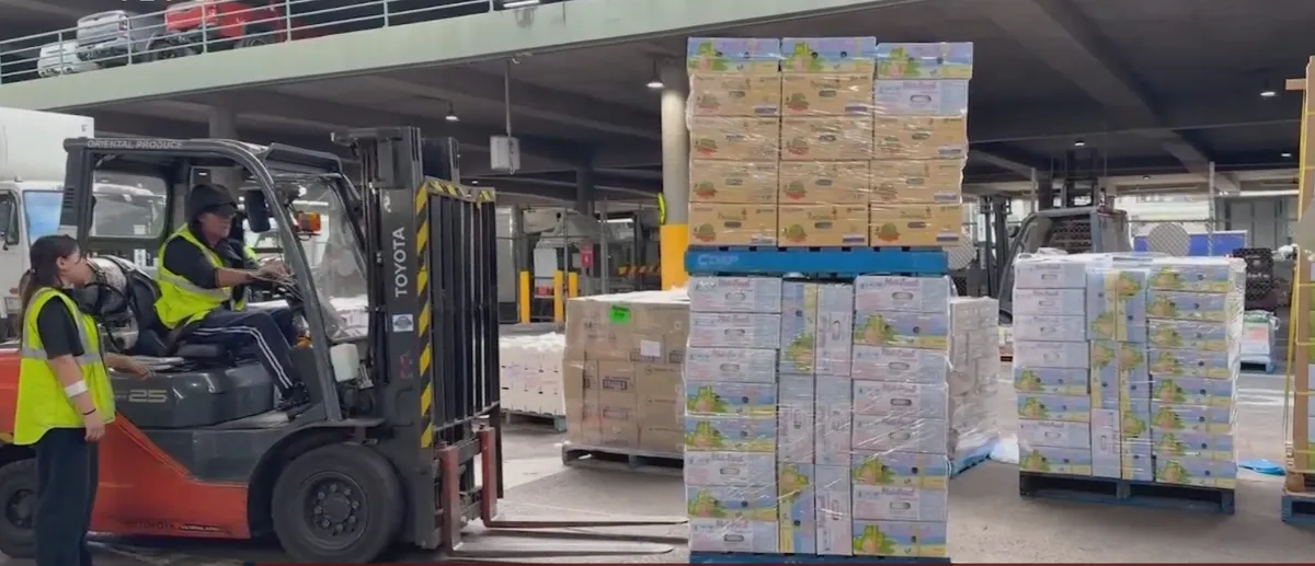 L&ocirc; bưởi tươi đầu ti&ecirc;n Việt Nam ch&iacute;nh thức cập cảng Australia: Dấu mốc chiến lược của n&ocirc;ng sản Việt  - Ảnh 2.