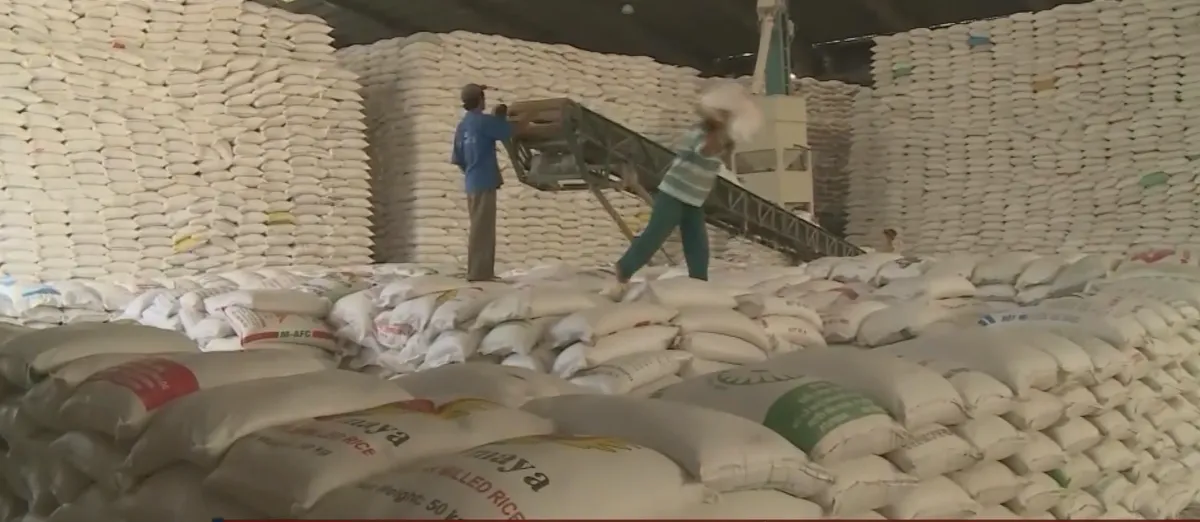 Xuất khẩu gạo Việt Nam tăng trưởng mạnh - Khẳng định vị thế tr&ecirc;n thị trường to&agrave;n cầu- Ảnh 2.