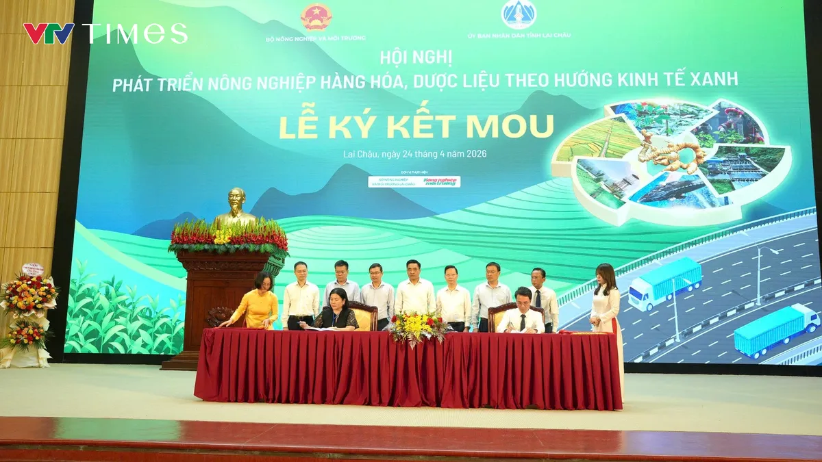 Lai Ch&acirc;u: Ph&aacute;t triển n&ocirc;ng nghiệp h&agrave;ng h&oacute;a, dược liệu theo hướng kinh tế xanh- Ảnh 9.