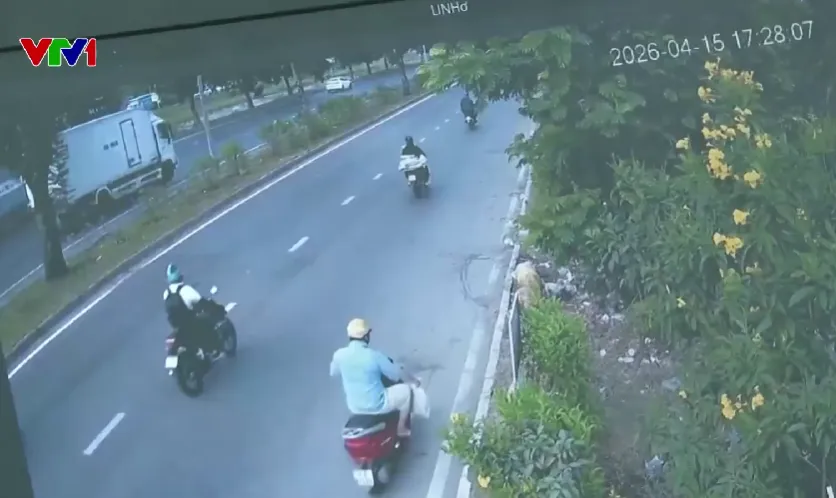 TP Hồ Ch&iacute; Minh gắn camera để xử l&yacute; h&agrave;ng chục b&atilde;i r&aacute;c tự ph&aacute;t- Ảnh 2.