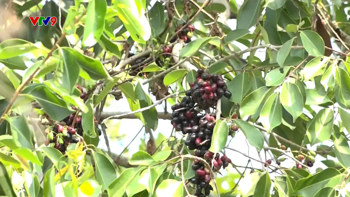 Sequence 55.00_37_29_20.Still234.jpg