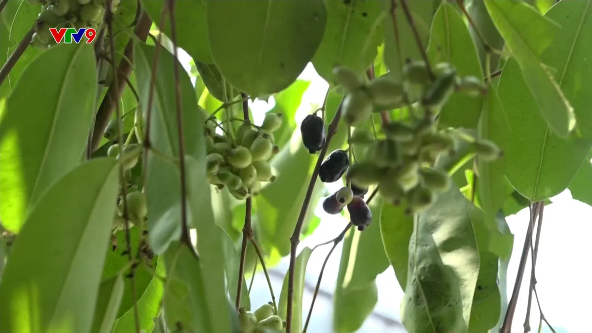 Sequence 55.00_38_34_01.Still236.jpg