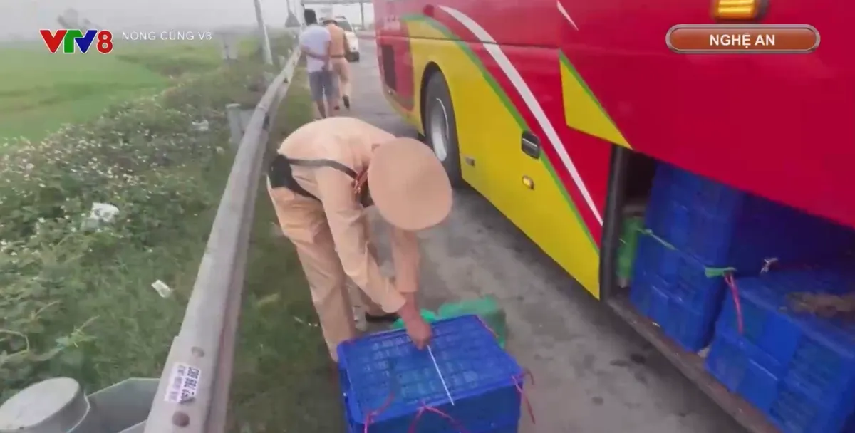 Triệt x&oacute;a đường d&acirc;y mua b&aacute;n, vận chuyển động vật qu&yacute; hiếm- Ảnh 2.