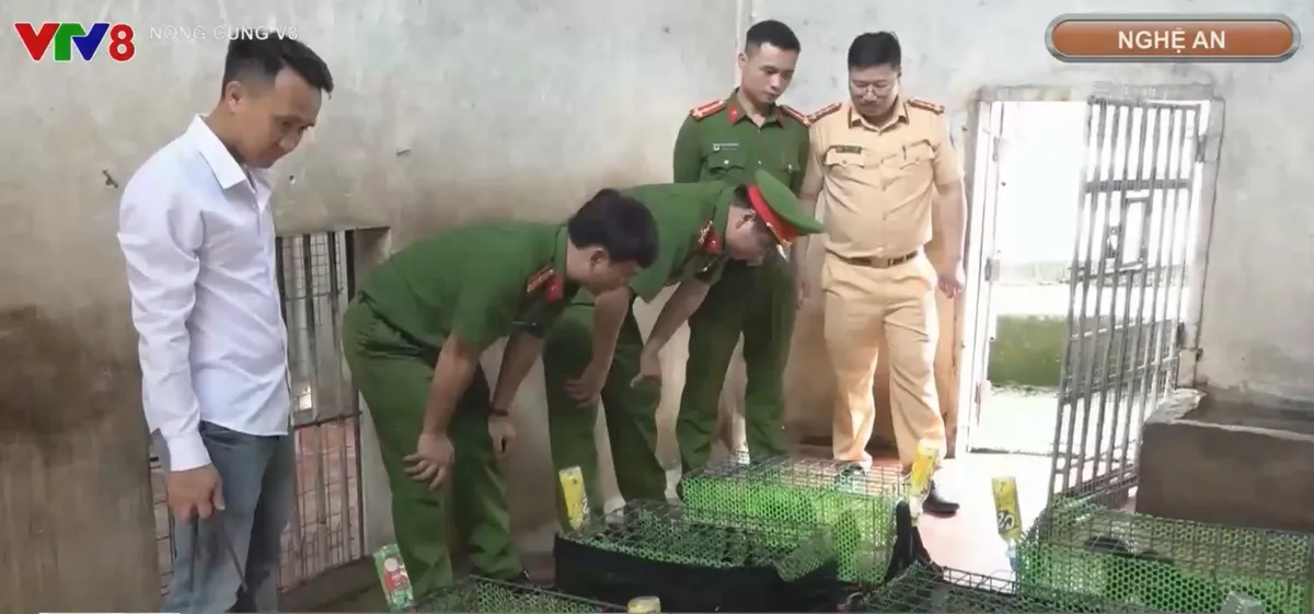 Triệt x&oacute;a đường d&acirc;y mua b&aacute;n, vận chuyển động vật qu&yacute; hiếm- Ảnh 1.