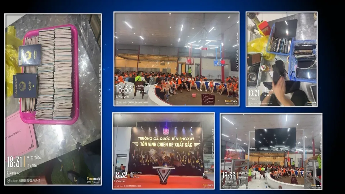 Triệt ph&aacute; đường d&acirc;y đ&aacute;nh bạc xuy&ecirc;n quốc gia hơn 1.200 tỷ đồng tại "trường g&agrave; Vi&ecirc;ng Xay"- Ảnh 3.