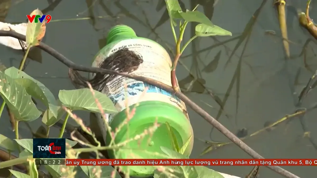 Lâm Đồng: Rủi ro ô nhiễm từ bao bì thuốc BVTV