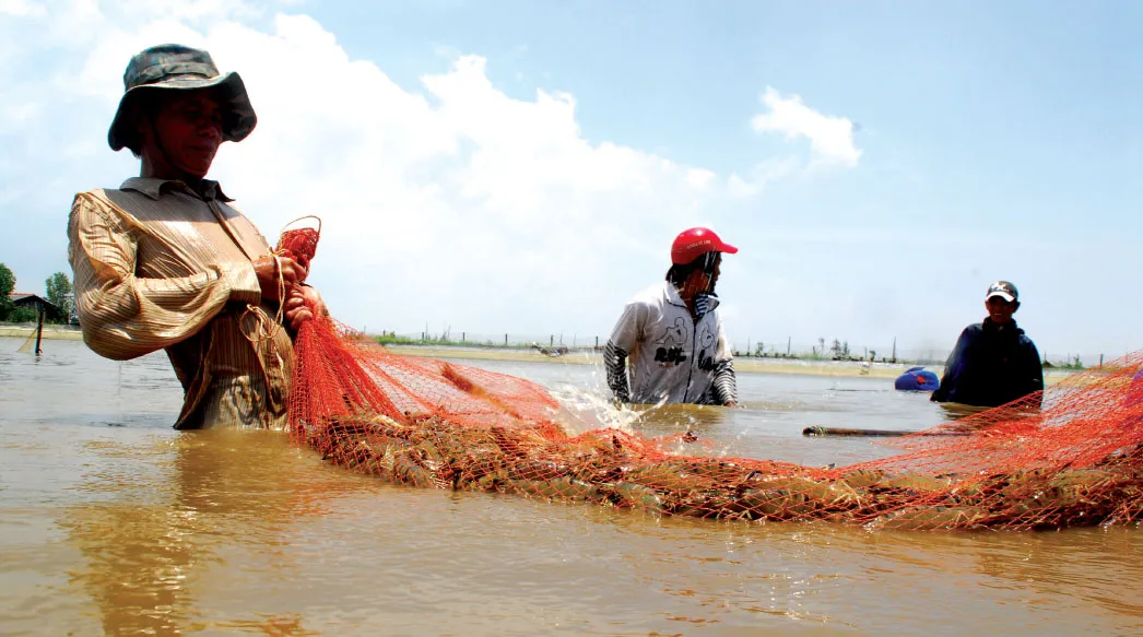 Triển vọng n&agrave;o cho xuất khẩu dệt may v&agrave; thủy sản?- Ảnh 1.